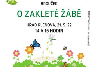 Divadelní představení loutkového souboru Brouček - O zakleté žábě 